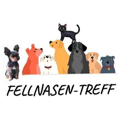 Hundetreffen-Fellnasen im Wind-Bild