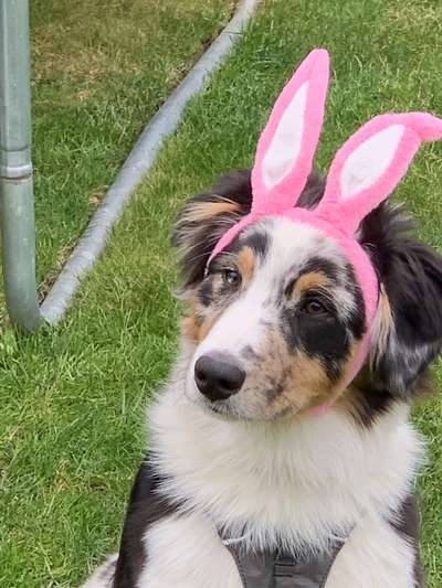 Hier ist der Spaßthread. Zum Schmunzeln und Kaputtlachen-Beitrag-Bild