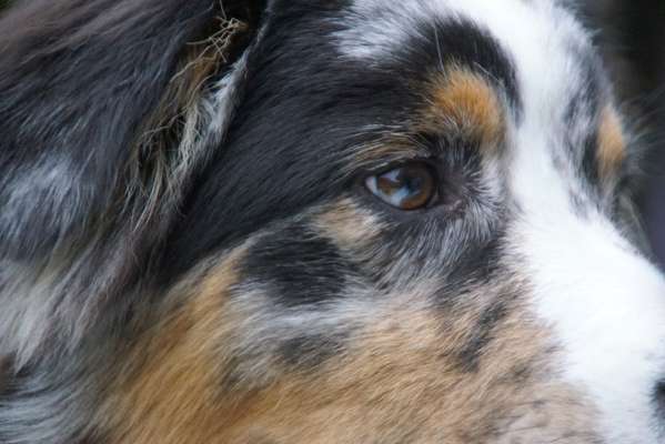 Blick fürs Detail!-Beitrag-Bild