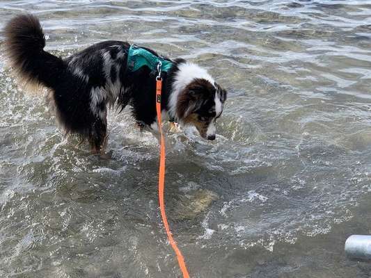 Euer schönster Moment des Jahres auf einem Bild!-Beitrag-Bild