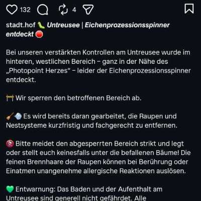 Giftköder-Eichenprozessionsspinner-Bild