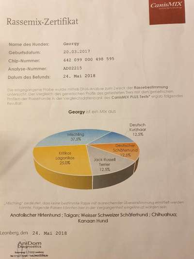 DNA-Tests-Beitrag-Bild