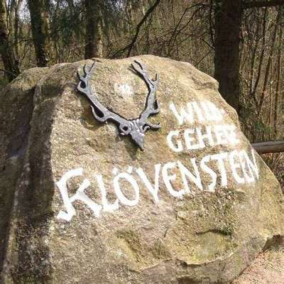 Hundetreffen-Klövensteen Spaziergang-Bild