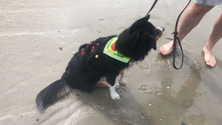 Metallschild "NICHT ANFASSEN" für Besuch-Beitrag-Bild