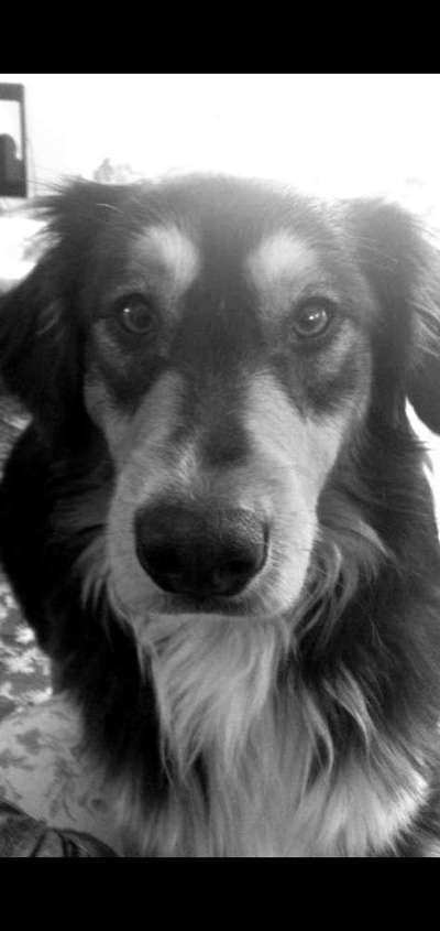 Foto-Challenge 76: Foto in Schwarz-Weiss-Beitrag-Bild