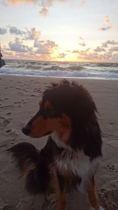 Theos Fotochallange Nummer 4-Beitrag-Bild