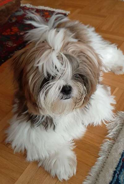 Fotochallenge Nr. 67: Euer Lieblingsbild-Beitrag-Bild