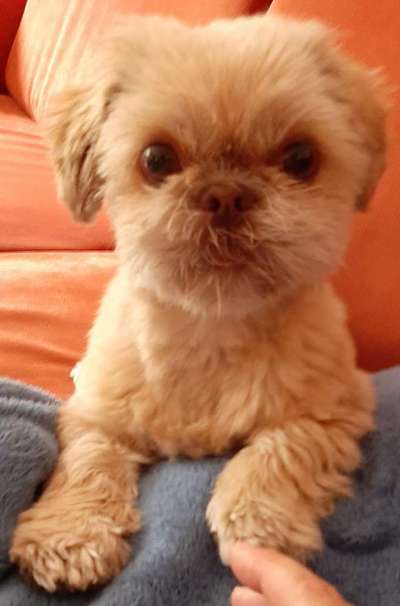 Fotochallenge Nr. 67: Euer Lieblingsbild-Beitrag-Bild