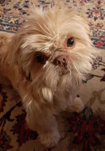 Fotochallange Nr. 57     PORTRÄT.   Beendet!!!!!!!!-Beitrag-Bild