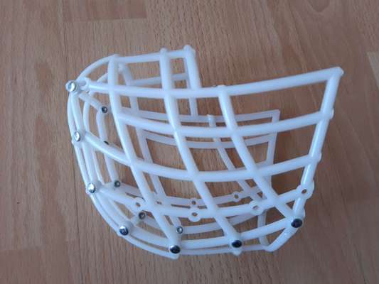 Wie sitzt mein Maulkorb / Maulkorb-Beratung-Beitrag-Bild