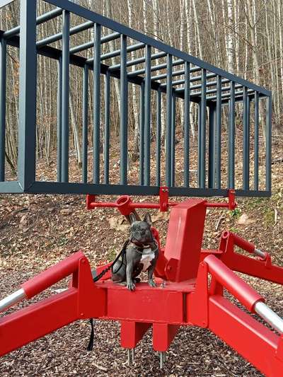 Hundeauslaufgebiet-Eselsbachtal-Bild