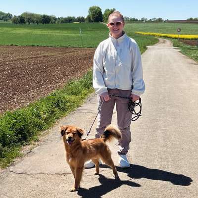 Hundetreffen-Gassi gehen 🐶😊-Bild