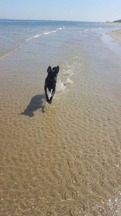 Eure Strandbilder :)-Beitrag-Bild