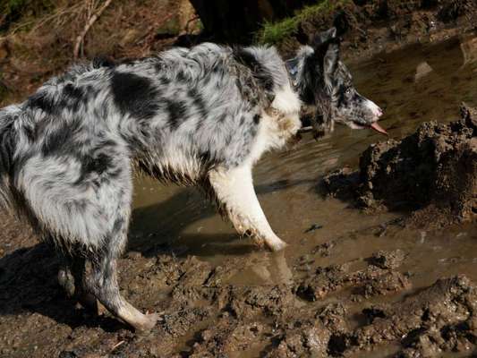 Ist das ein...?-Beitrag-Bild