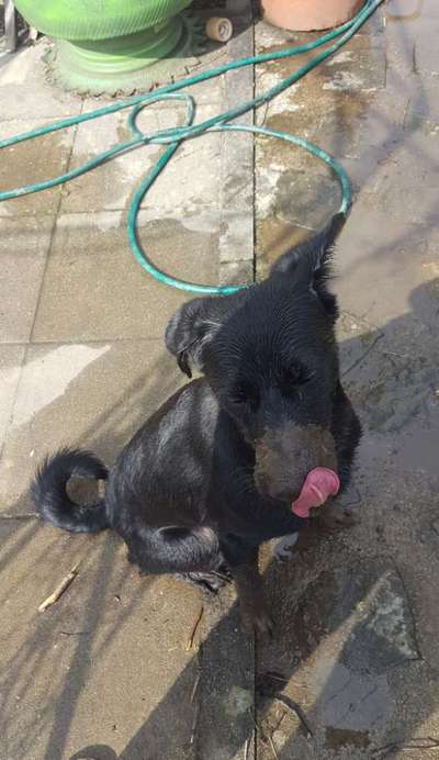 Fotochallenge 113: Auf frsicher Tat ertappt-Beitrag-Bild