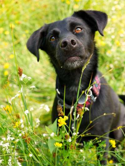 Zeigt eure Portraits-Beitrag-Bild