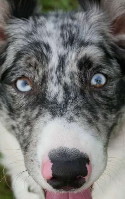 Blick fürs Detail!-Beitrag-Bild