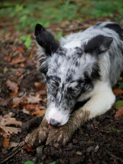 Foto Challenge Nr. 79-Beitrag-Bild