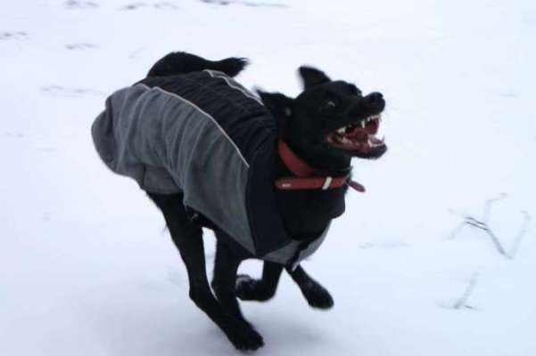 FOTO CHALLENGE Thema ,,durchdrehen"-Beitrag-Bild