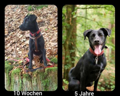 Sie werden so schnell groß!-Beitrag-Bild