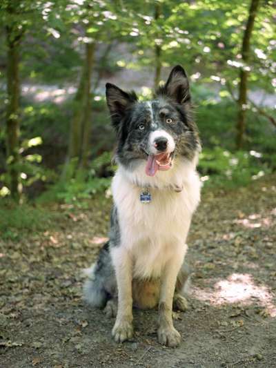 Ist das ein...?-Beitrag-Bild