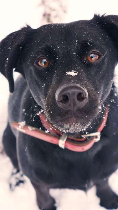 Lieblingsbild-Beitrag-Bild