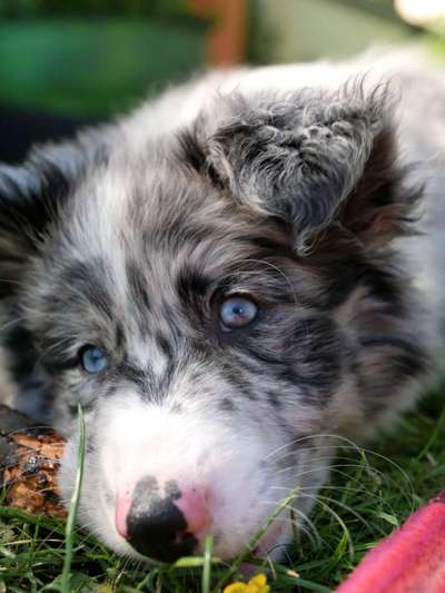 Lieblingsbild-Beitrag-Bild