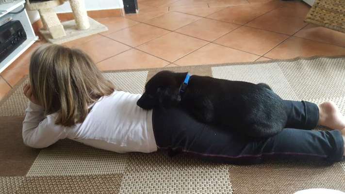 Welpen Bilder !-Beitrag-Bild