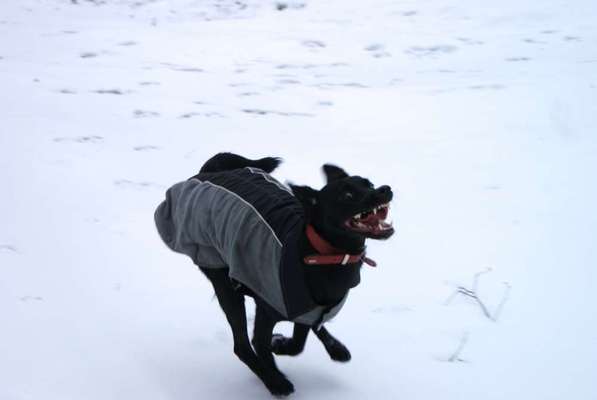 Der erste Schnee, zeigt uns eure tollen Schneemomente-Beitrag-Bild