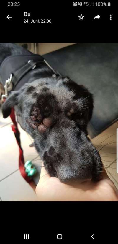 Komische *Hügel* auf dem Kopf-Beitrag-Bild