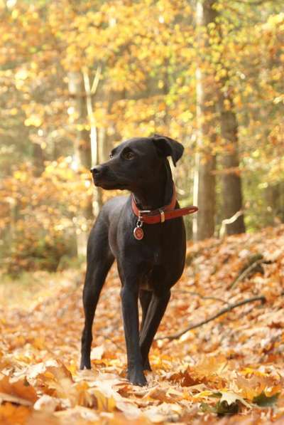 Herbst Bilder-Beitrag-Bild