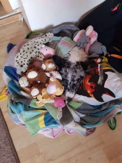 143. Fotochallenge: Ja, wo isser denn?-Beitrag-Bild