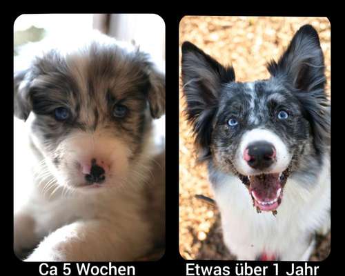 Sie werden so schnell groß!-Beitrag-Bild