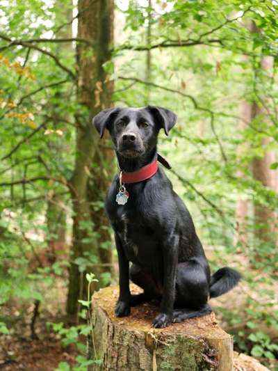 Ist das ein...?-Beitrag-Bild