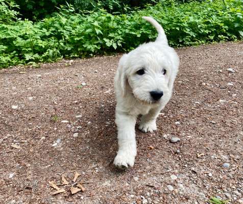 Foto Challenge 3-Beitrag-Bild