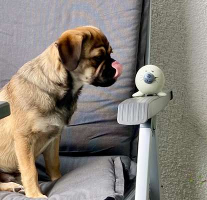 Handyfoto challenge Nr. 13: Waschlappen raus!-Beitrag-Bild