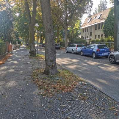 Giftköder-Weißes Pulver am Baum-Bild