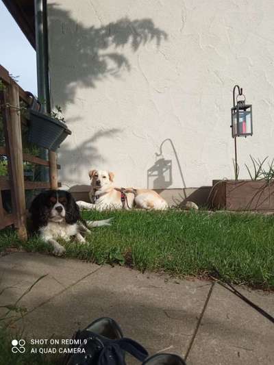 Fotochallenge Nr. 67: Euer Lieblingsbild-Beitrag-Bild