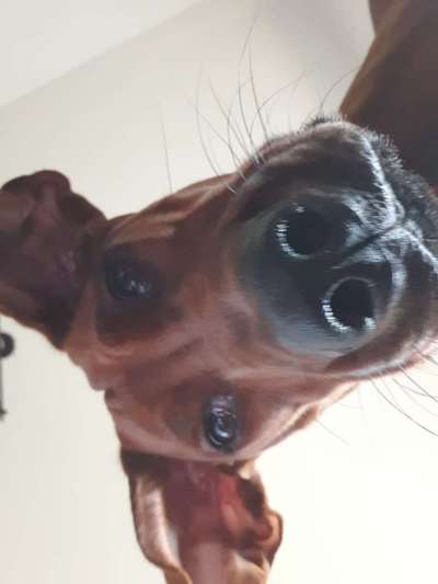 23. Handy Foto-Challenge-Beitrag-Bild