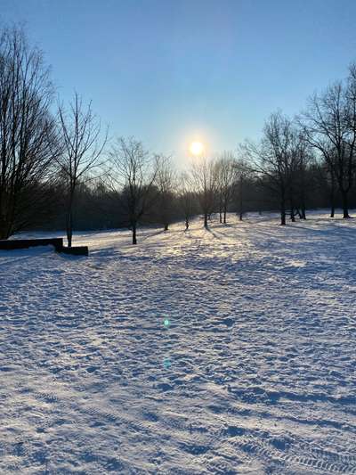 Hundeauslaufgebiet-Helenenpark-Bild