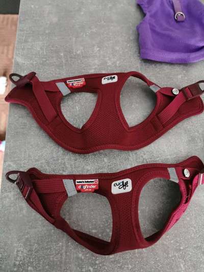 2 xGeschirr Gr. xxxs und xxs nur 3x getragen-Beitrag-Bild