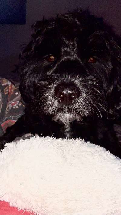 42. Handy Fotochallenge - Den richtigen Riecher haben-Beitrag-Bild