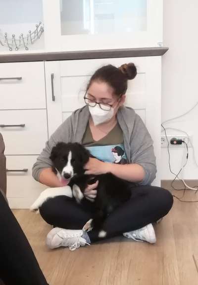 Zeigt her...-Beitrag-Bild