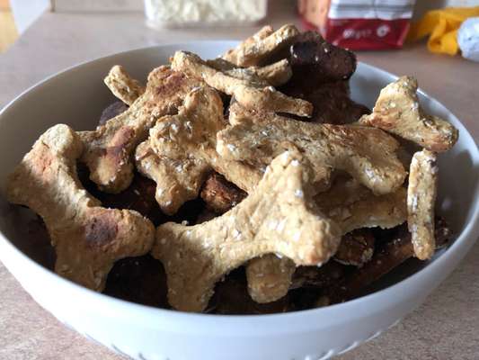 Reisegefährt*innen bei Schnauzberts Winterreise-Beitrag-Bild