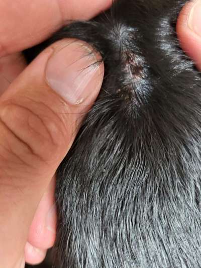 Hautausschlag?-Beitrag-Bild