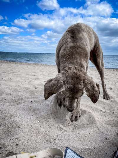 Lieblingsbild-Beitrag-Bild