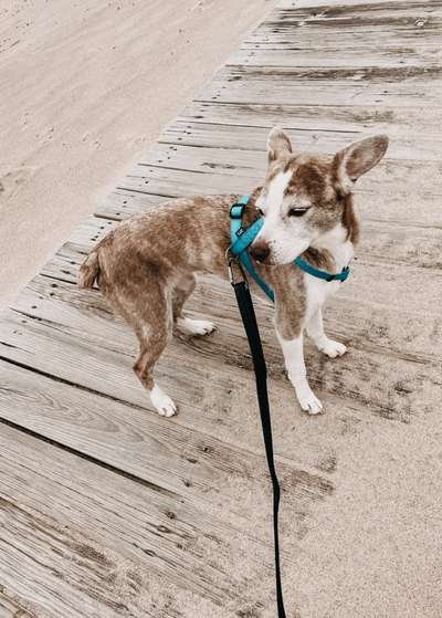 Lieblings Fotos-Beitrag-Bild