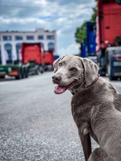 Lieblingsbild-Beitrag-Bild