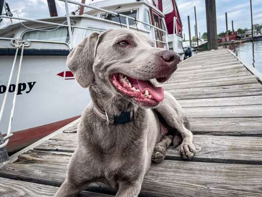 Lieblings Fotos-Beitrag-Bild