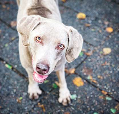 Lieblingsbild-Beitrag-Bild